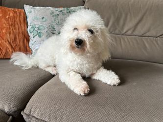 matka: COCO CHANEL Rock’owe Perły